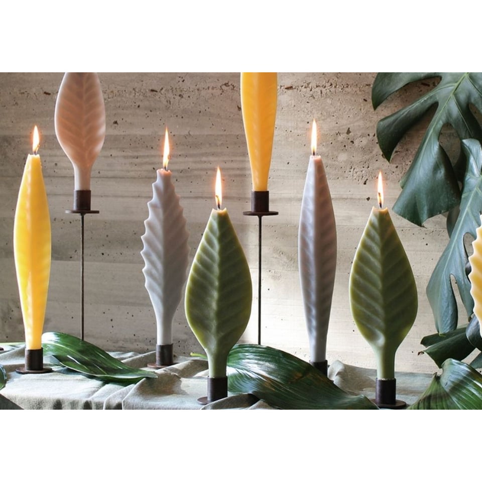 Cerabella Big Leaf Candles with holder