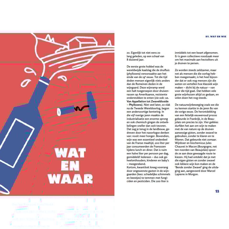 Natuurwijn - Een Helder Verhaal over Troebele Wijn