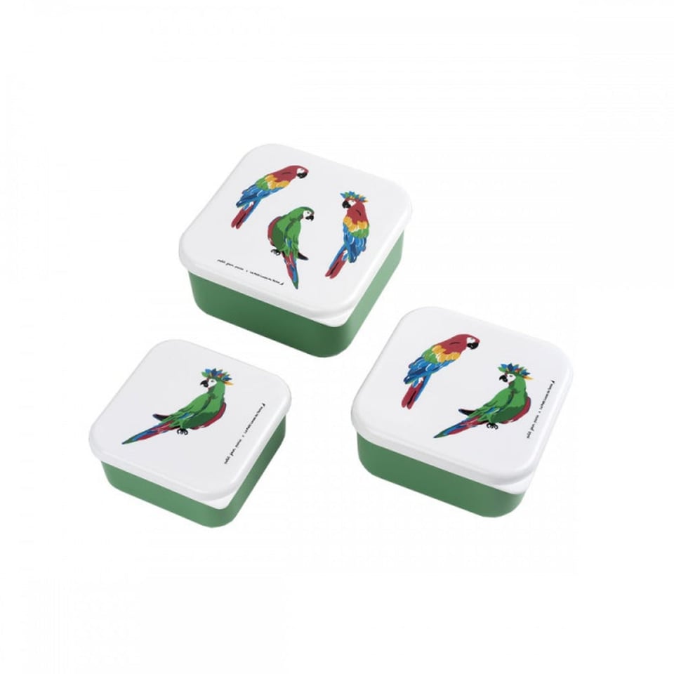 Maison petit jour trio lunchboxes les parroquets