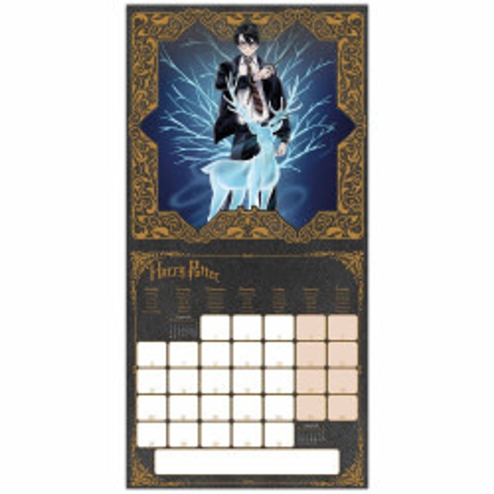 Harry Potter Calendar 2025 - Kalender