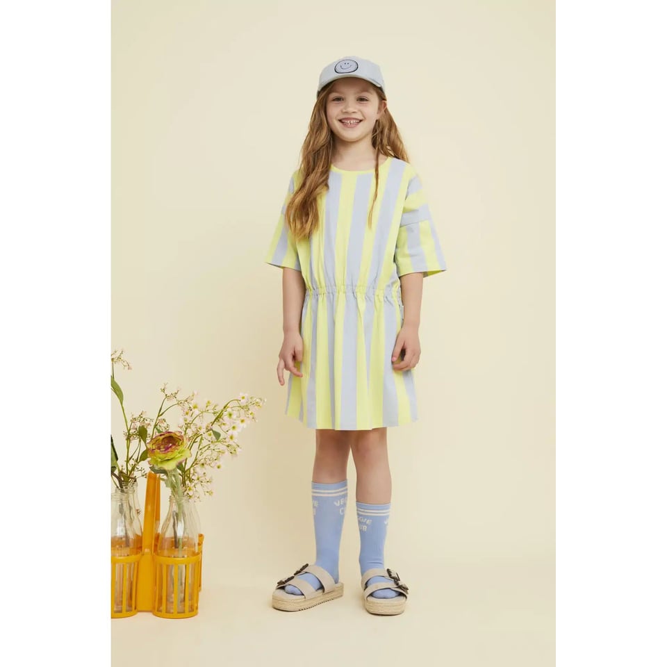 Sproet & Sprout Skater Dress Stripes Citrus