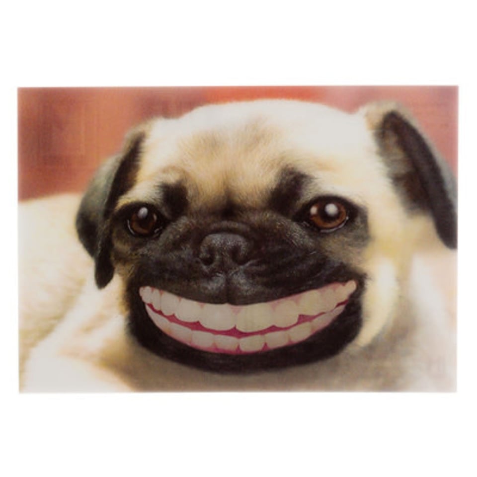 Lenticulaire Kaart Bewegend Lachende Hond