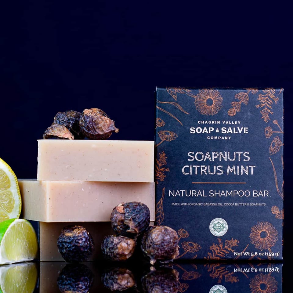 Chagrin Valley Soapnuts Citrus Mint Shampoo Bar