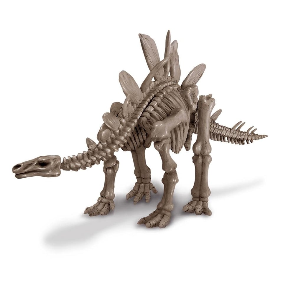 4M KidzLabs Graaf Je Dinosaurus Op Stegosaurus 8+
