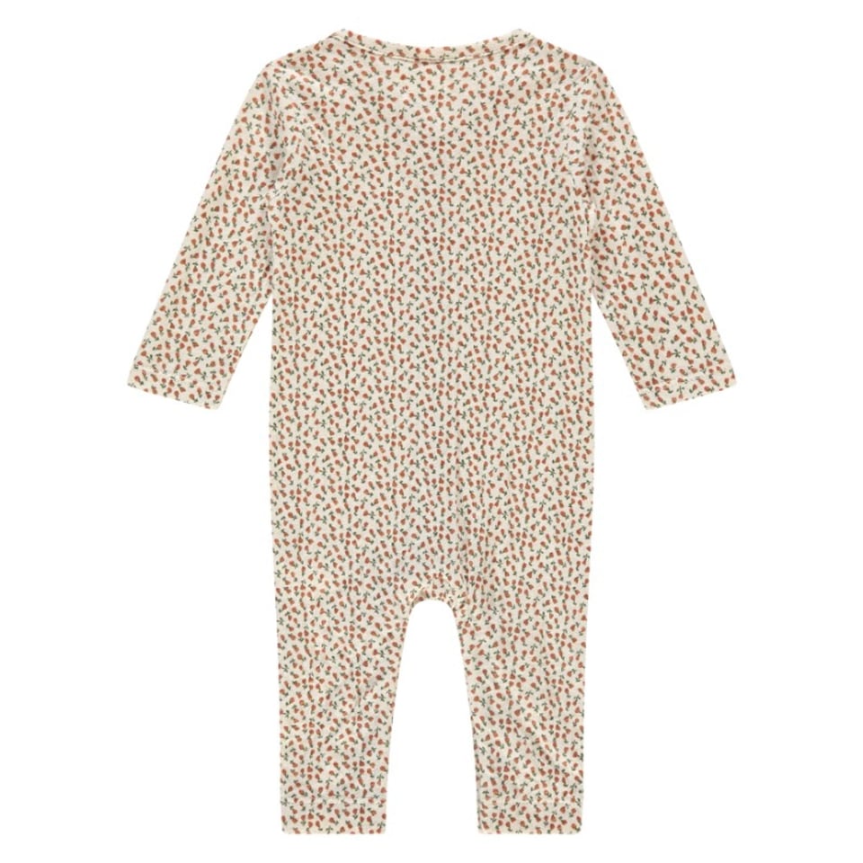 A Tiny Story Baby Suit Flowers