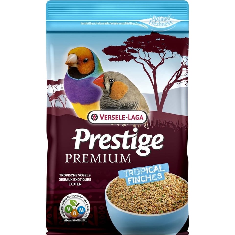 Pp Tropische Vogels 800G