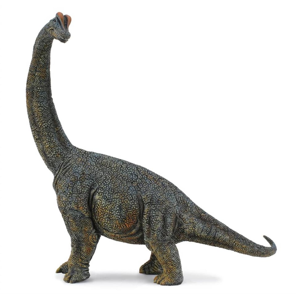 Collecta Prehistorie Brachiosaurus