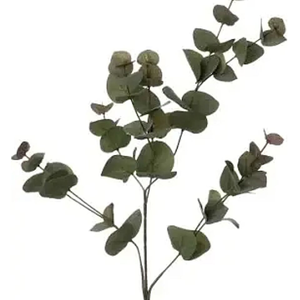 Kunstbloem Eucalyptus Groen Tak 84cm