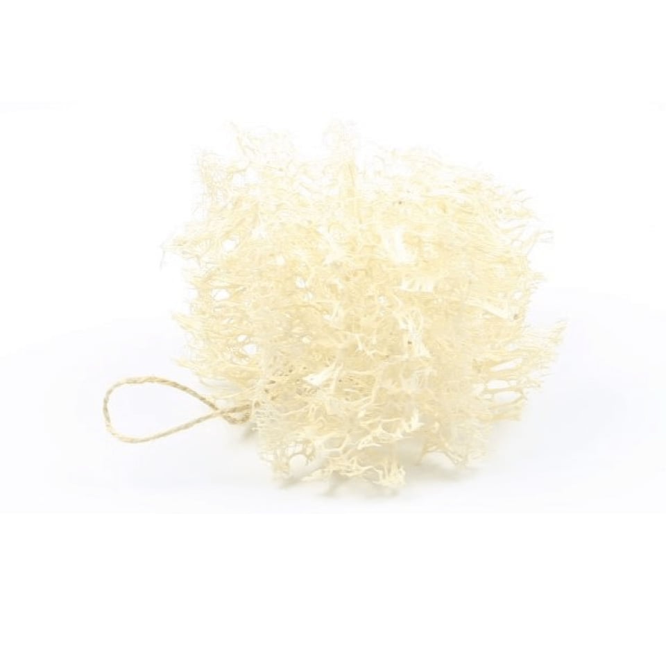 Loofah Dish Sponge
