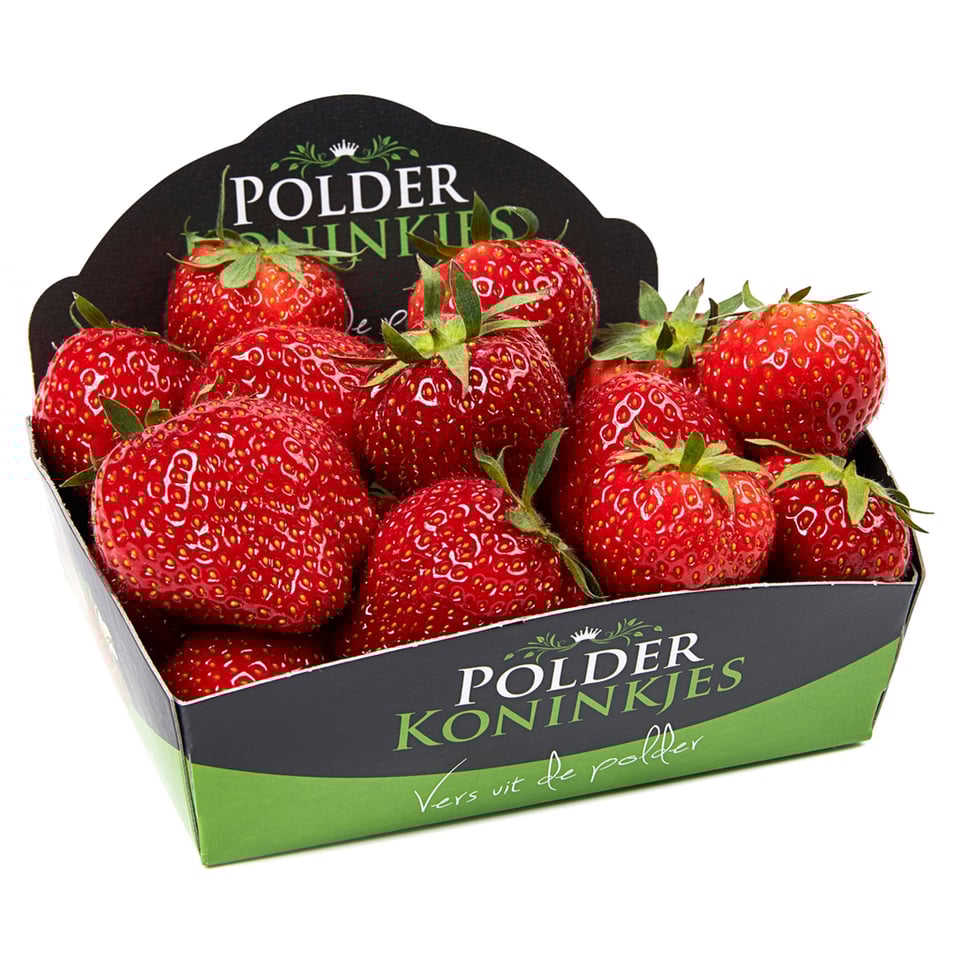 Polderkoninkjes Aardbeien Mega