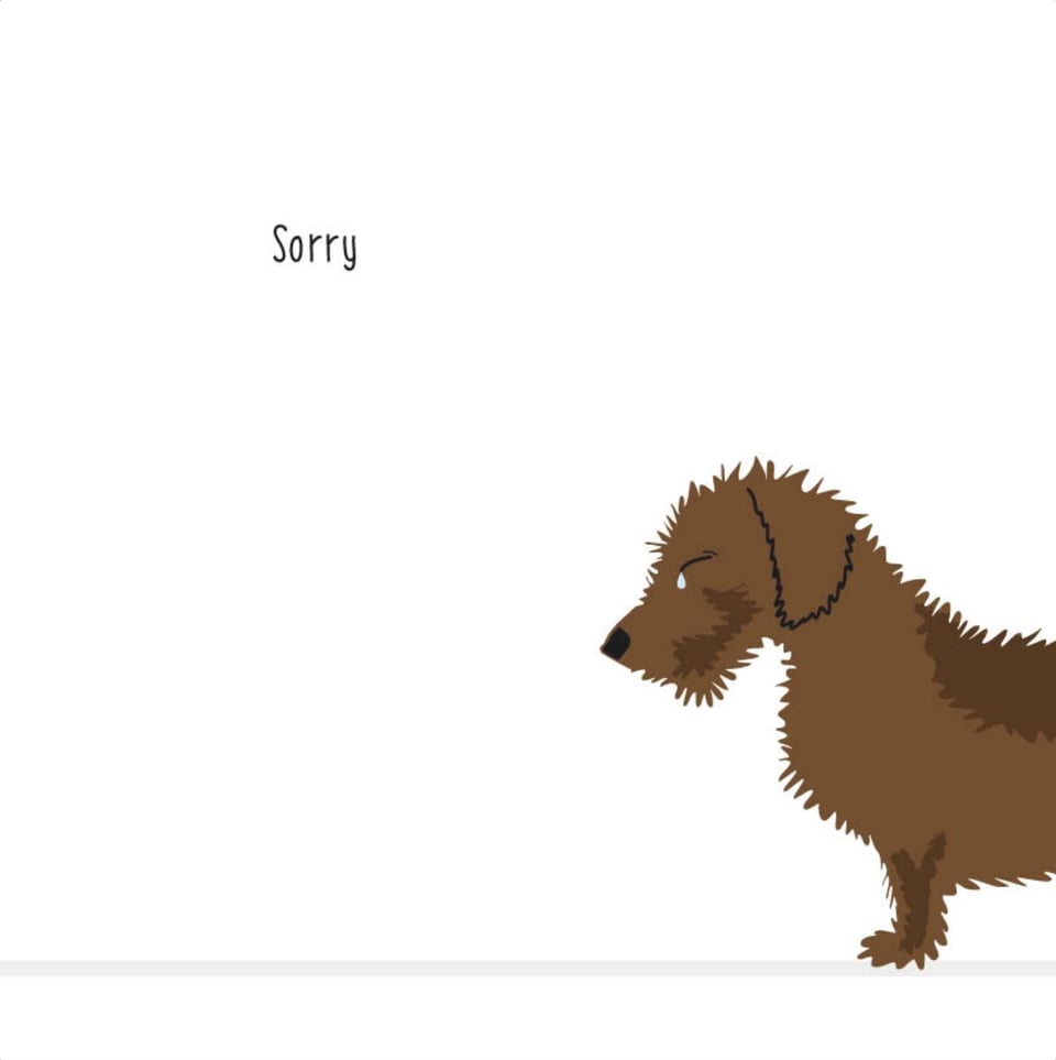 Frits Gevouwen Kaart - Sorry