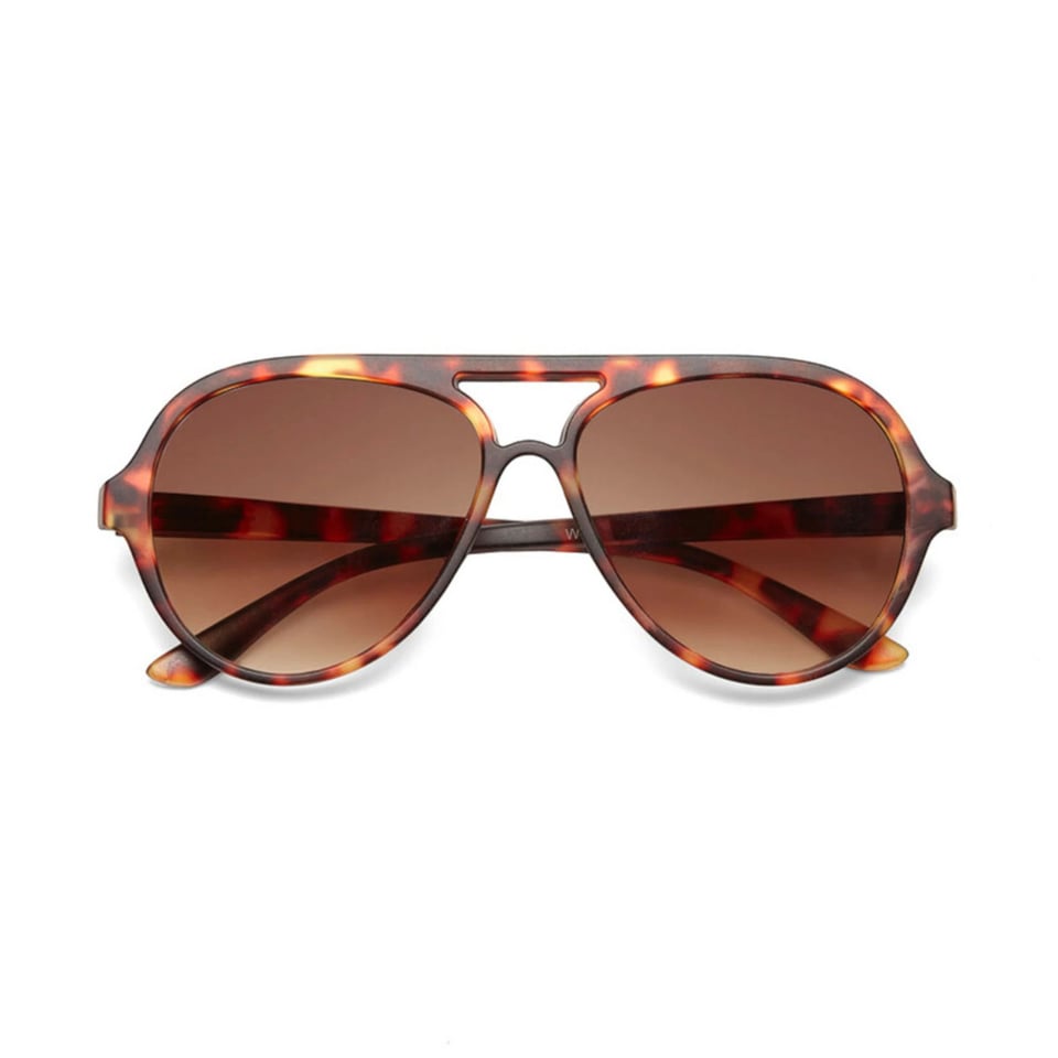 Zonnebril ALESSIO Aviator Classic Havana OK021-CH