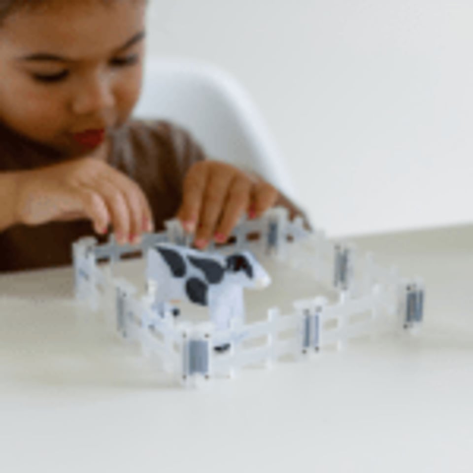 MAGNA-TILES Farm Animals 25