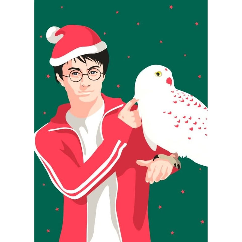 Pop Art New Generation Kerstkaart - Harry Potter Met Hedwig