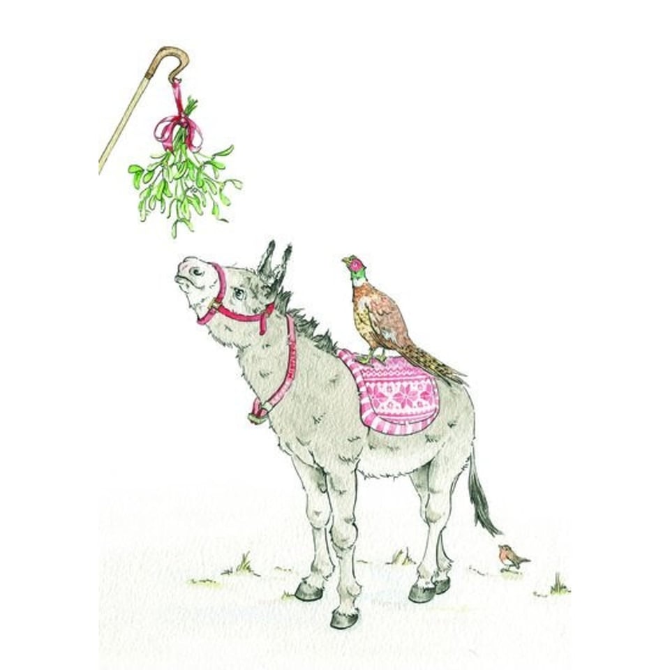 Kerstkaart Mistletoe Donkey