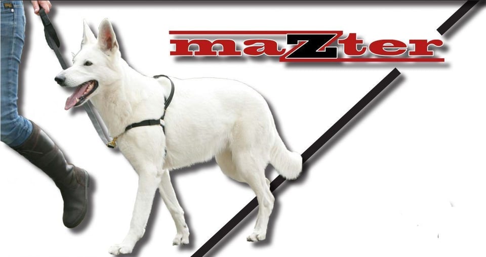Zterk - Mazter anti-trektuig