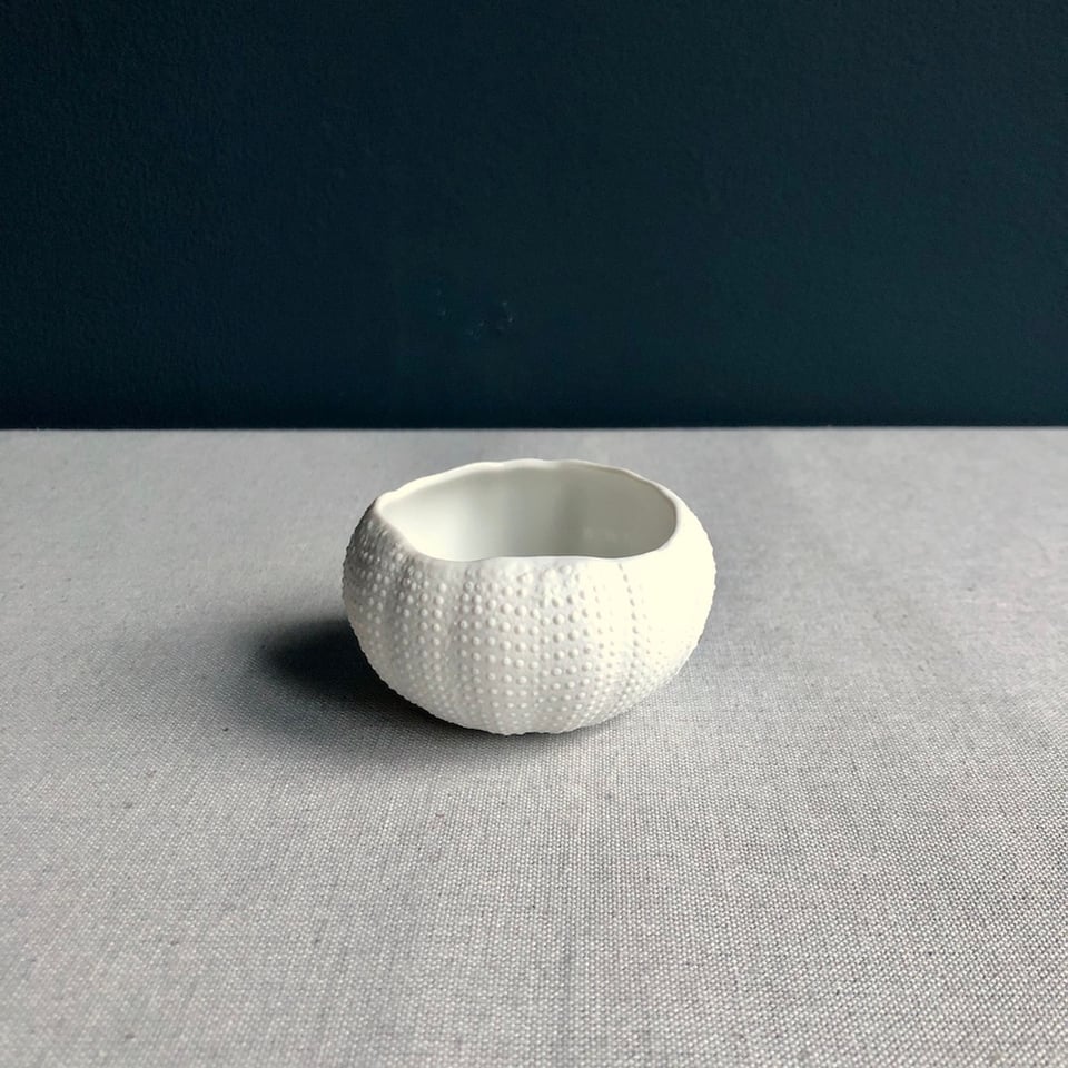Zee-Egel 8 Cm