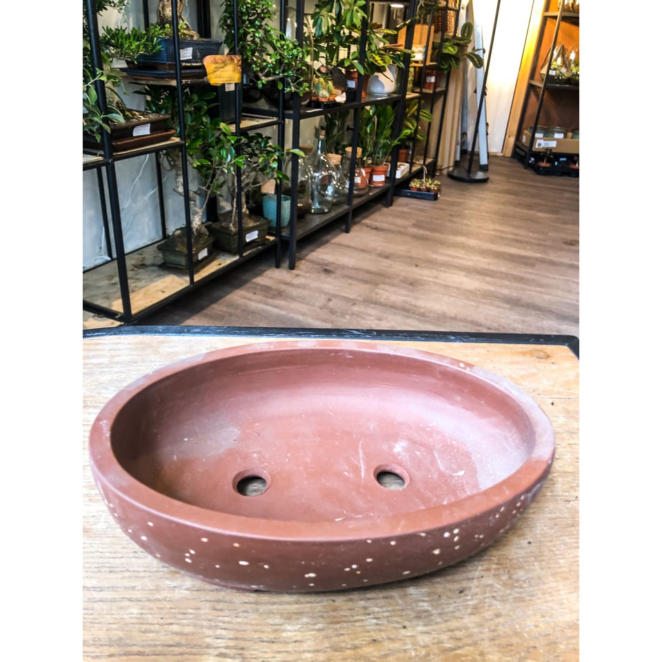 Bonsai Pot - Brown Ceramic