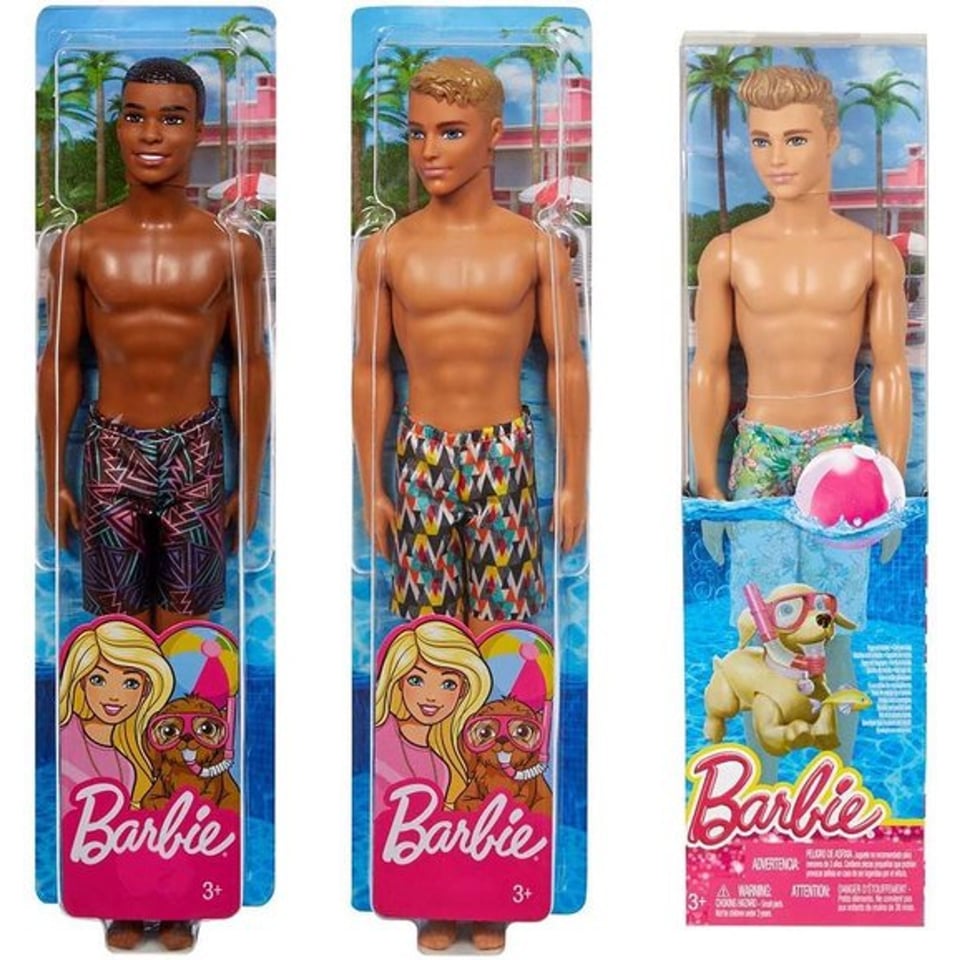 Barbie Ken Strand Pop Assorti