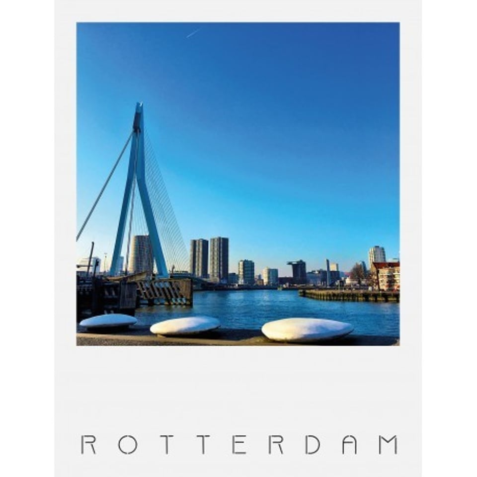 Rotterdam De Zwaan