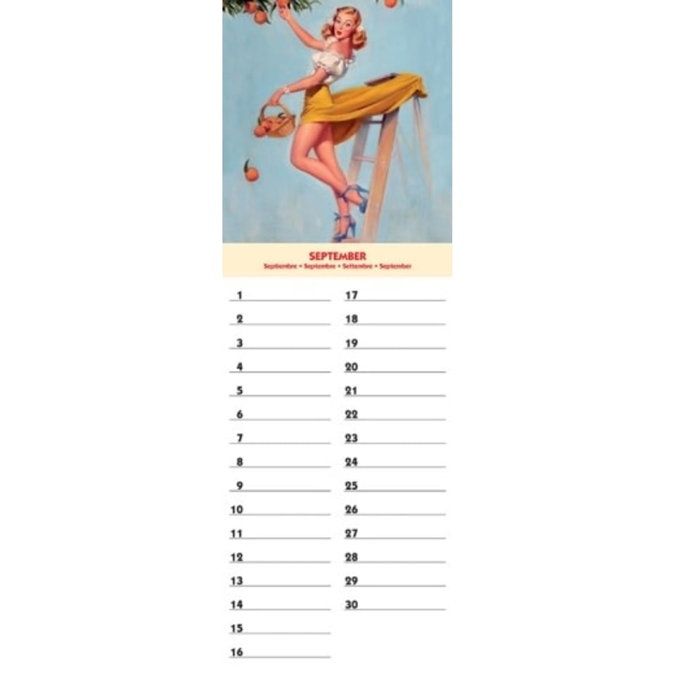 Pin Up History Verjaardagskalender