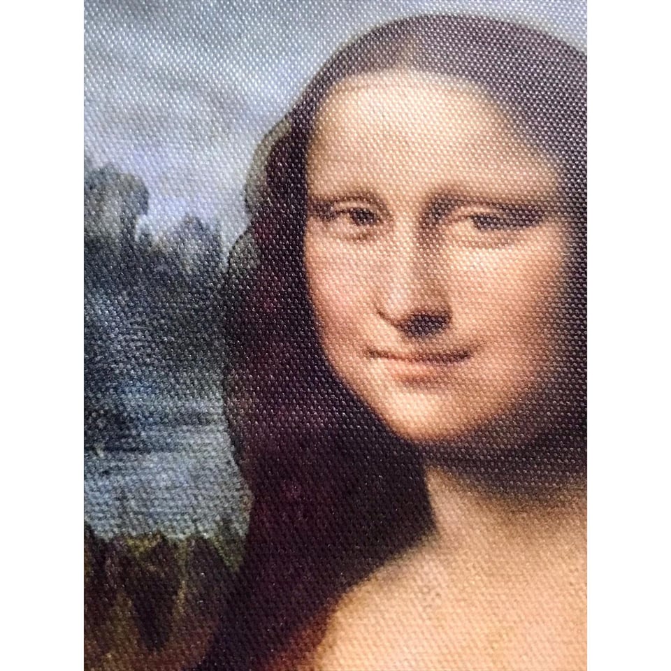 Grappige Schilderij in lijst Mona Lisa met een kat 20x30