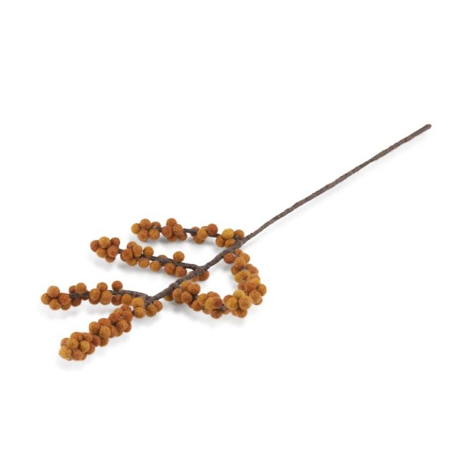 Tak bes ilex oranje