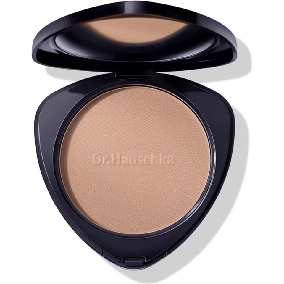 Bronzing Powder 01 Bronze