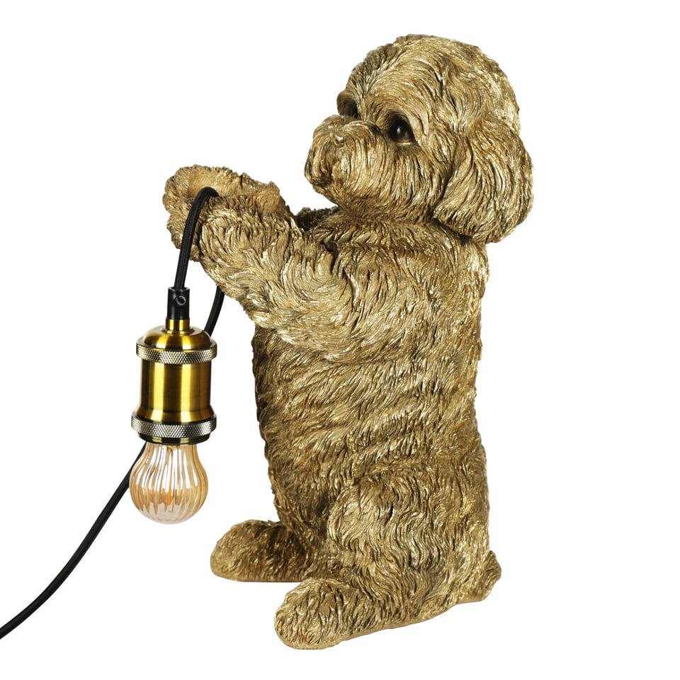 Hond Lamp Boomer