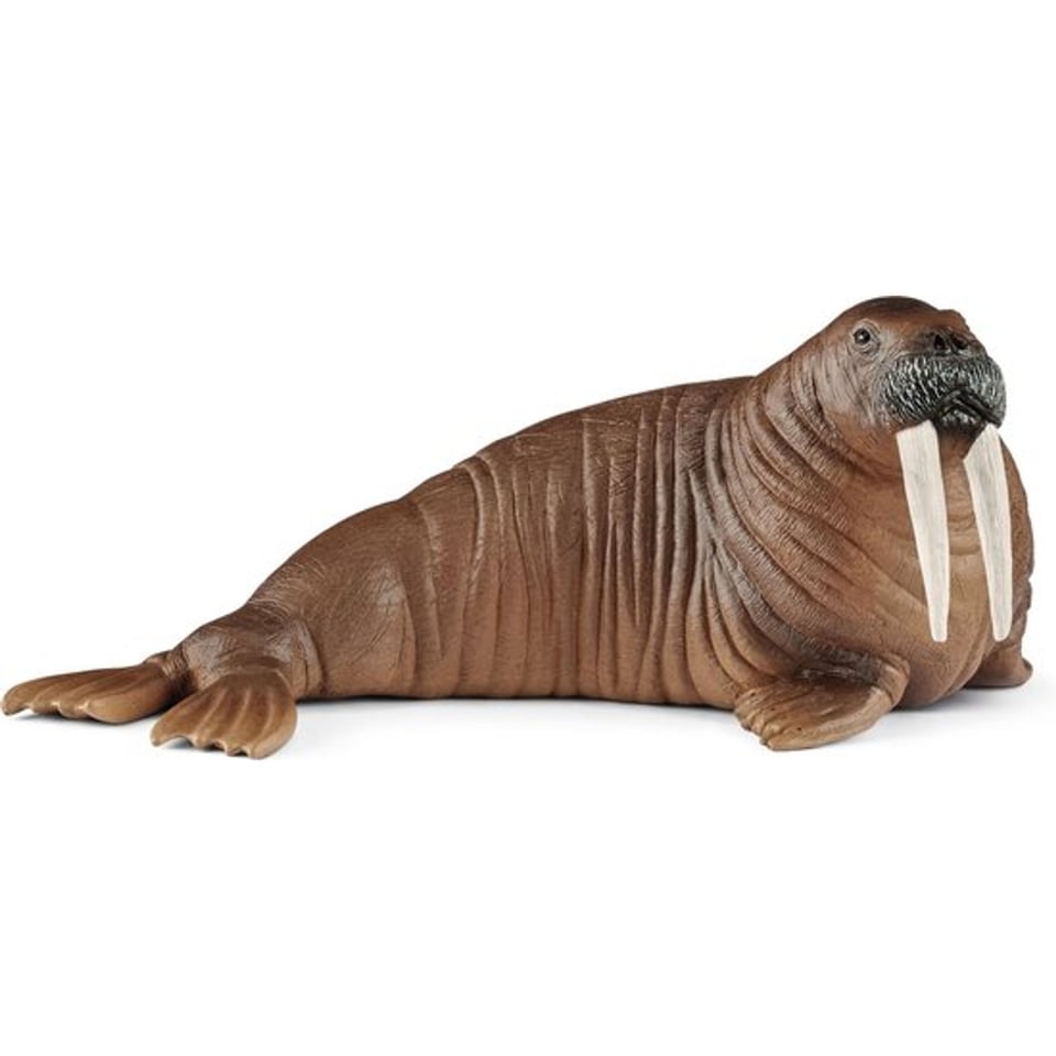 Schleich 14803 Walrus