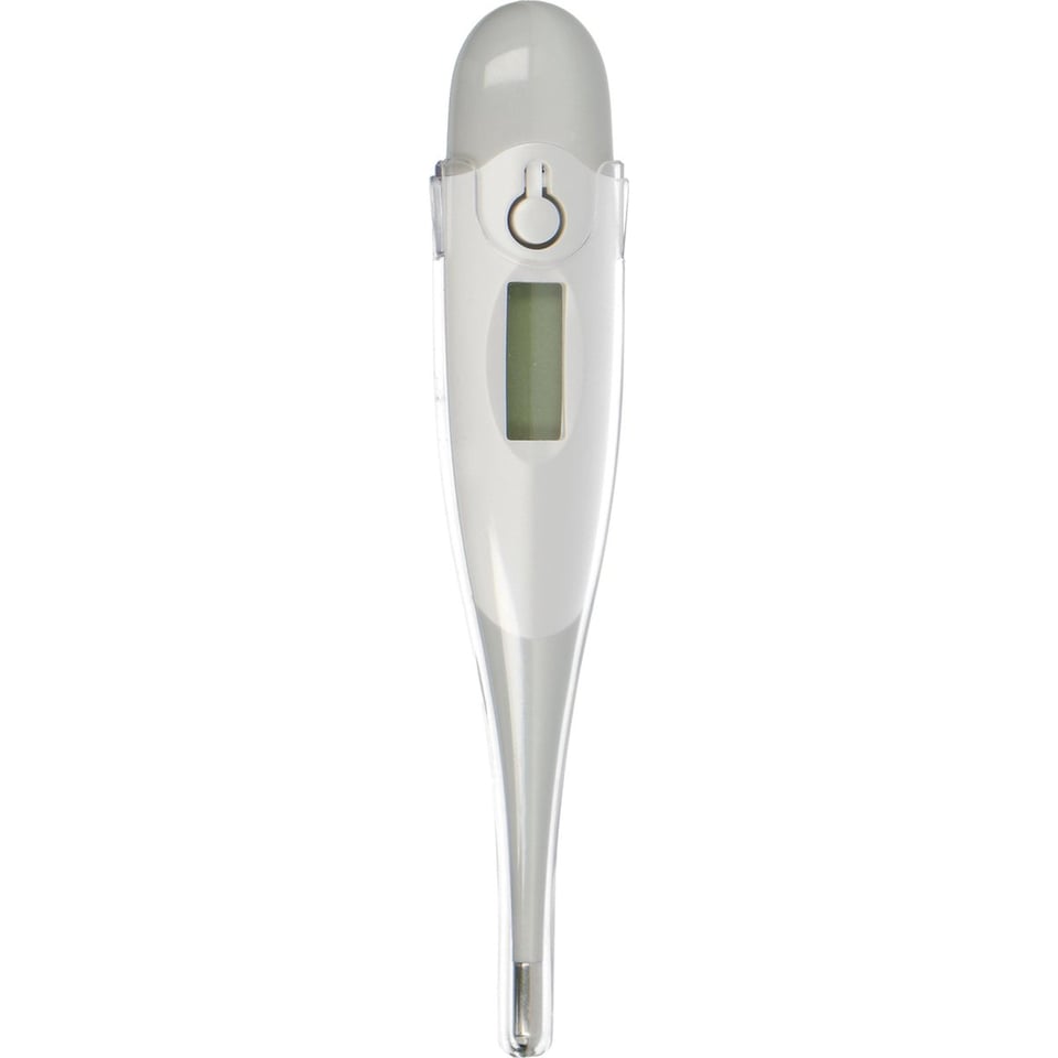 Alecto Digitale Thermometer