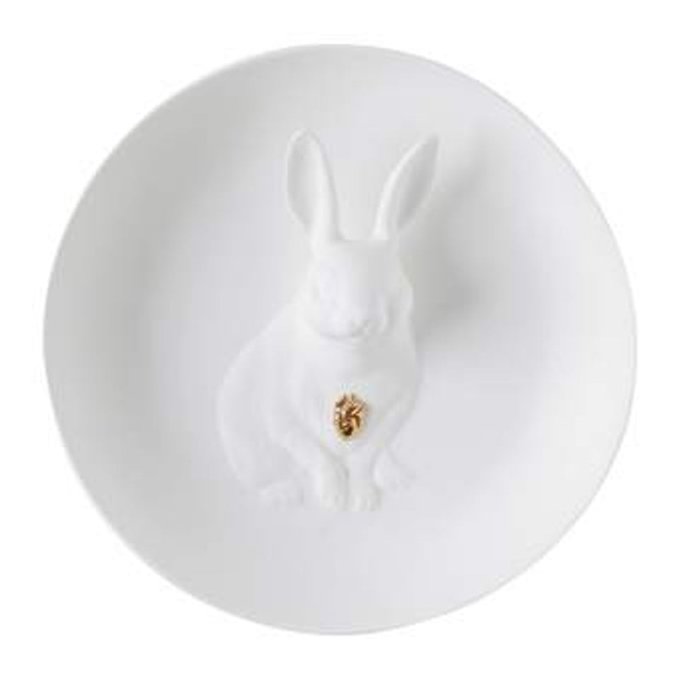 Wall Plate Rabbit