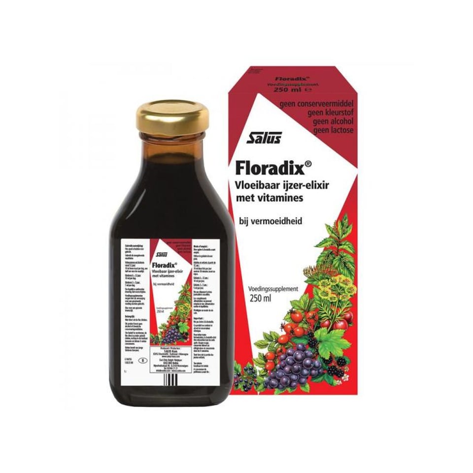 Floradix Ijzer Elixer