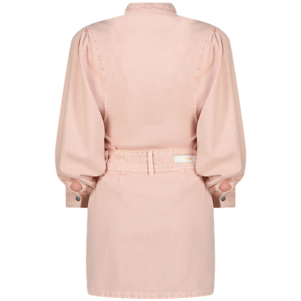 RAIZZED Dress Sage Dusty Pink