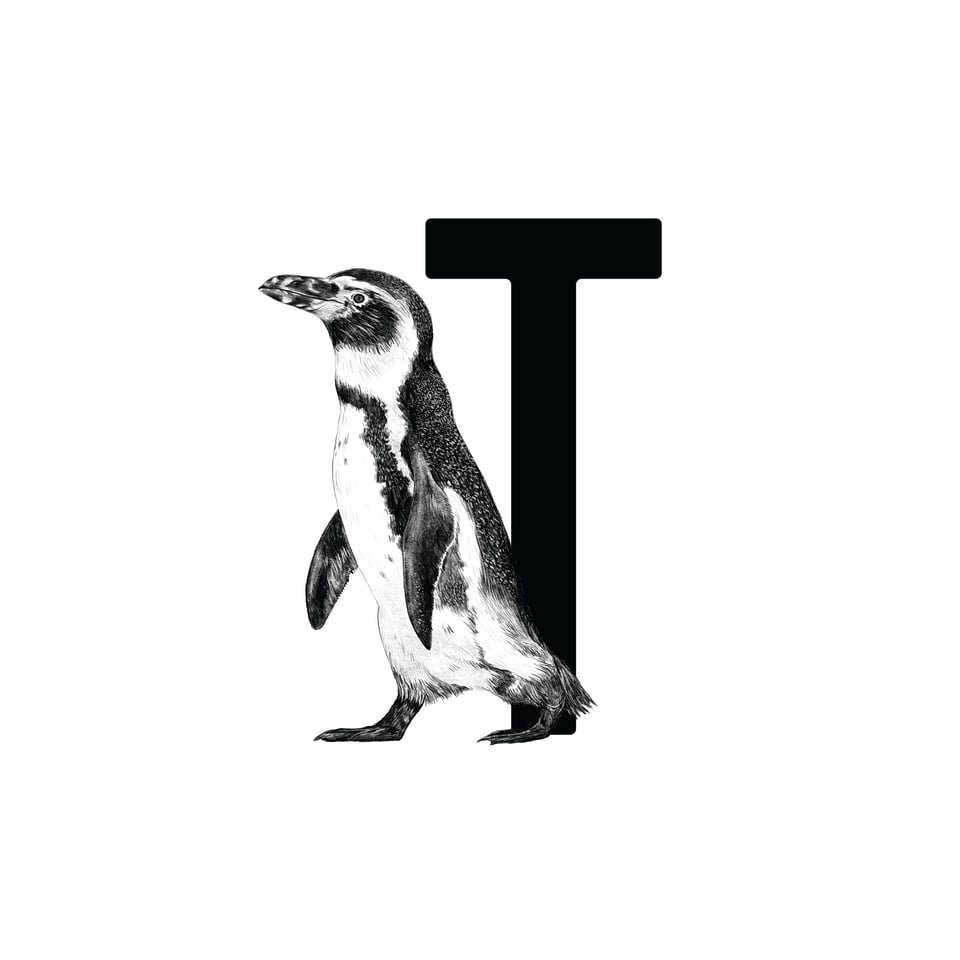 Letterbord T Met Pinguïn