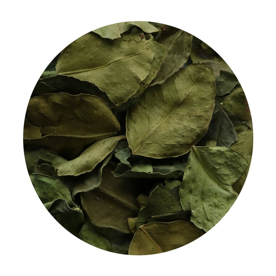 Djeruk Purut - Djeroek Poeroet - 10 gram