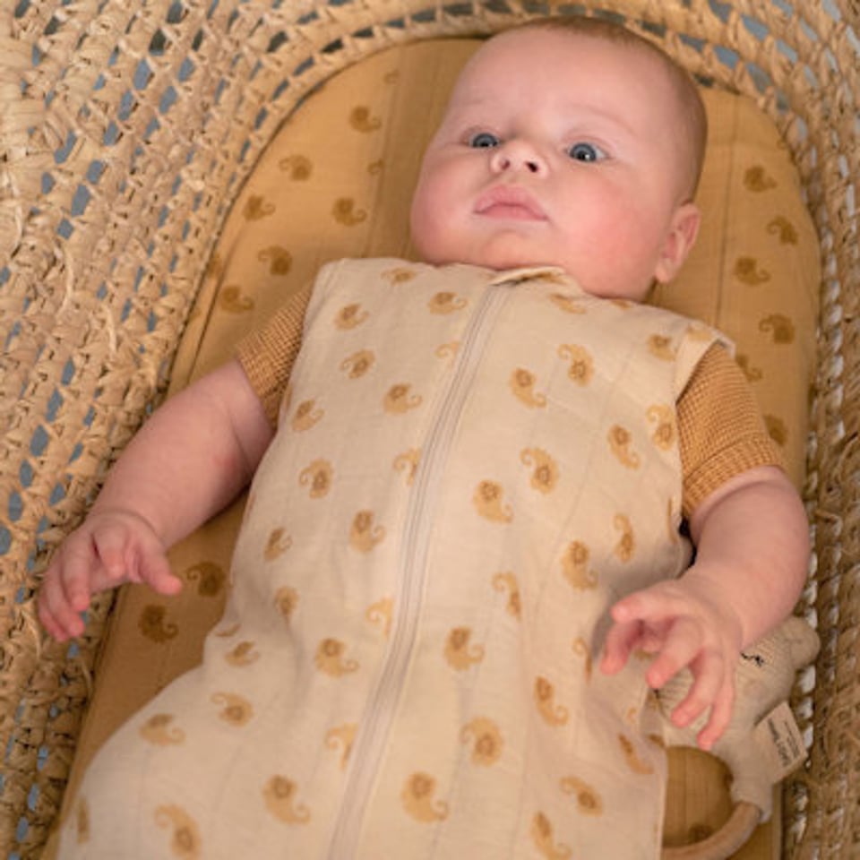 Lodger Lodger Baby Zomer Slaapzak Tribe Birch