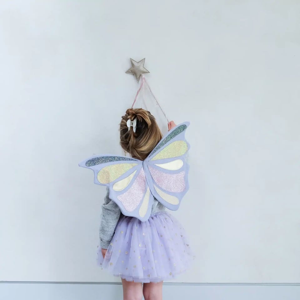 Mimi & Lula Emmelina Fairy Wings - Little Prince