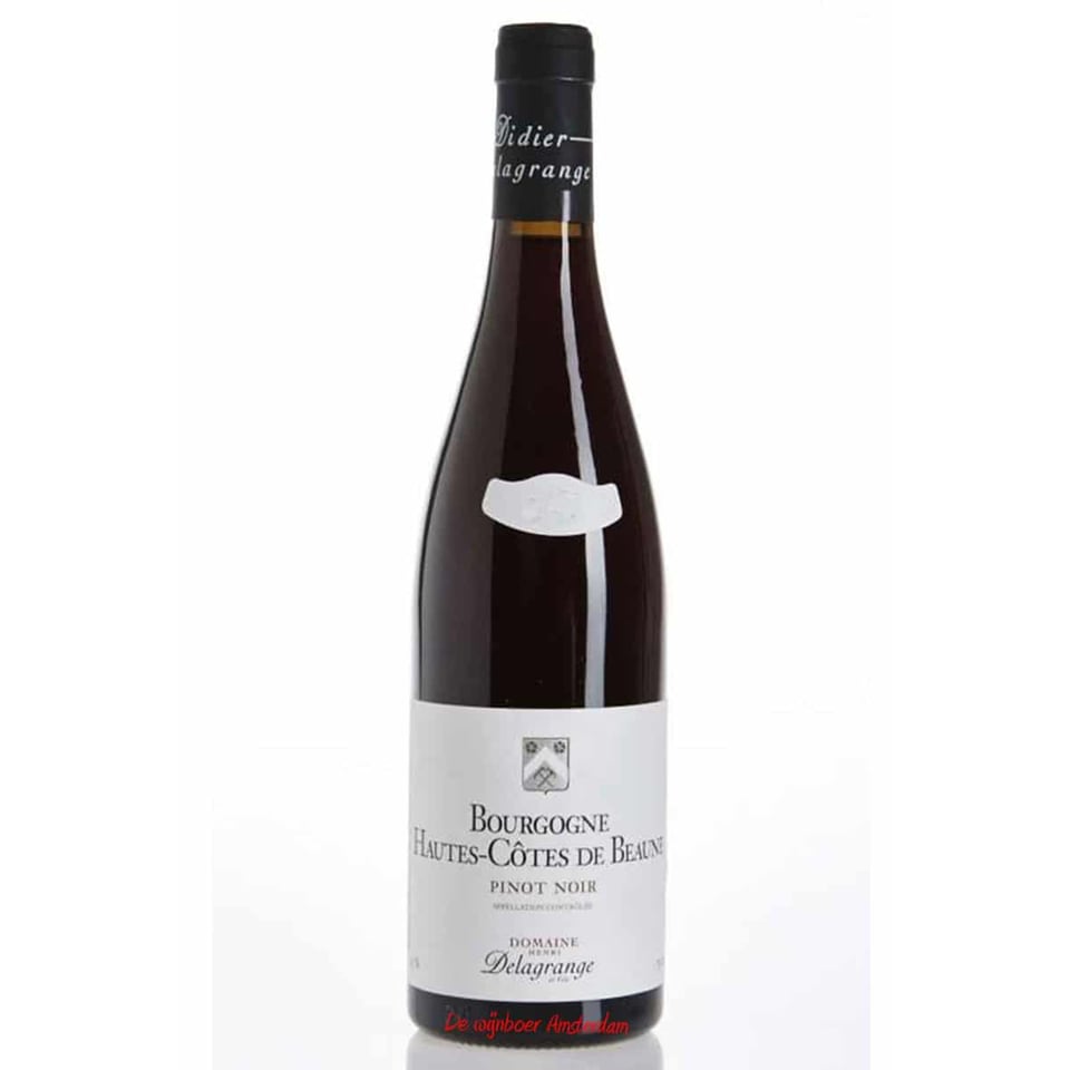 Hautes-Cotes De Beaune Rouge 2019 Domaine Henri Delagrange