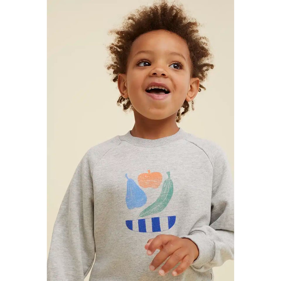 Sproet & Sprout Raglan Sweatshirt Fruit Grey Melee