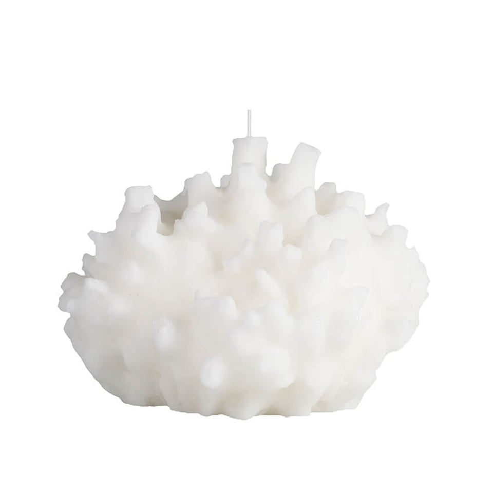 Cerabella Coral Candles