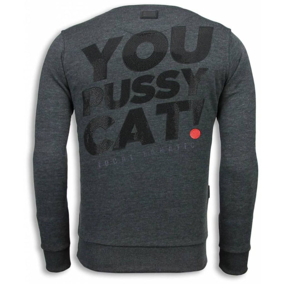 Pussy Cat - Rhinestone Sweater - Antraciet