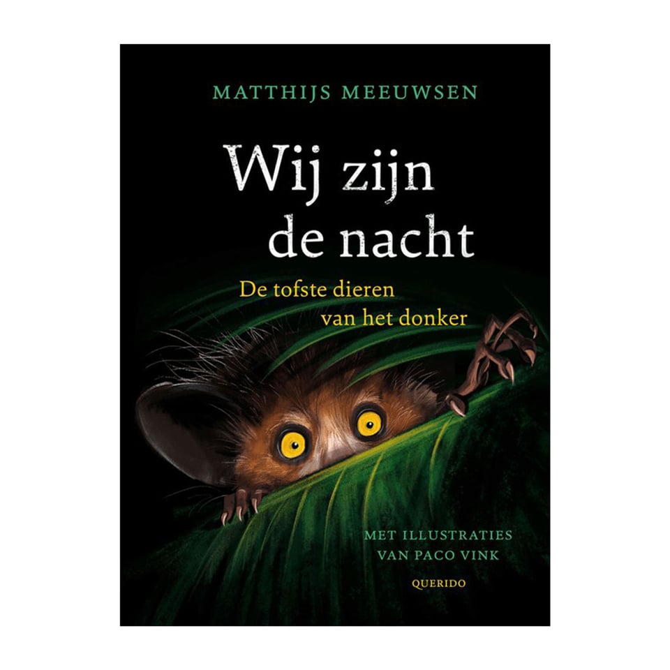 Wij Zijn De Nacht - Matthijs Meeuwsen, Paco Vink