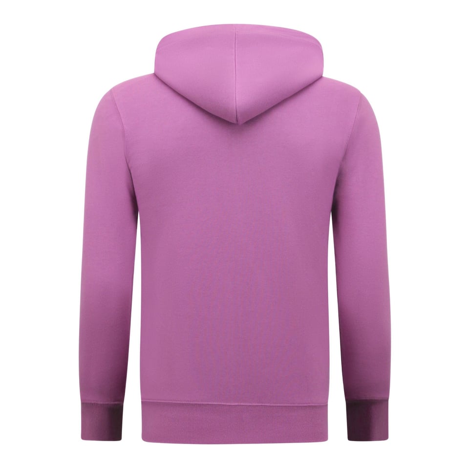Hoodie Heren Met Rits - Nette Jogging Shorts Heren - SET - Paars
