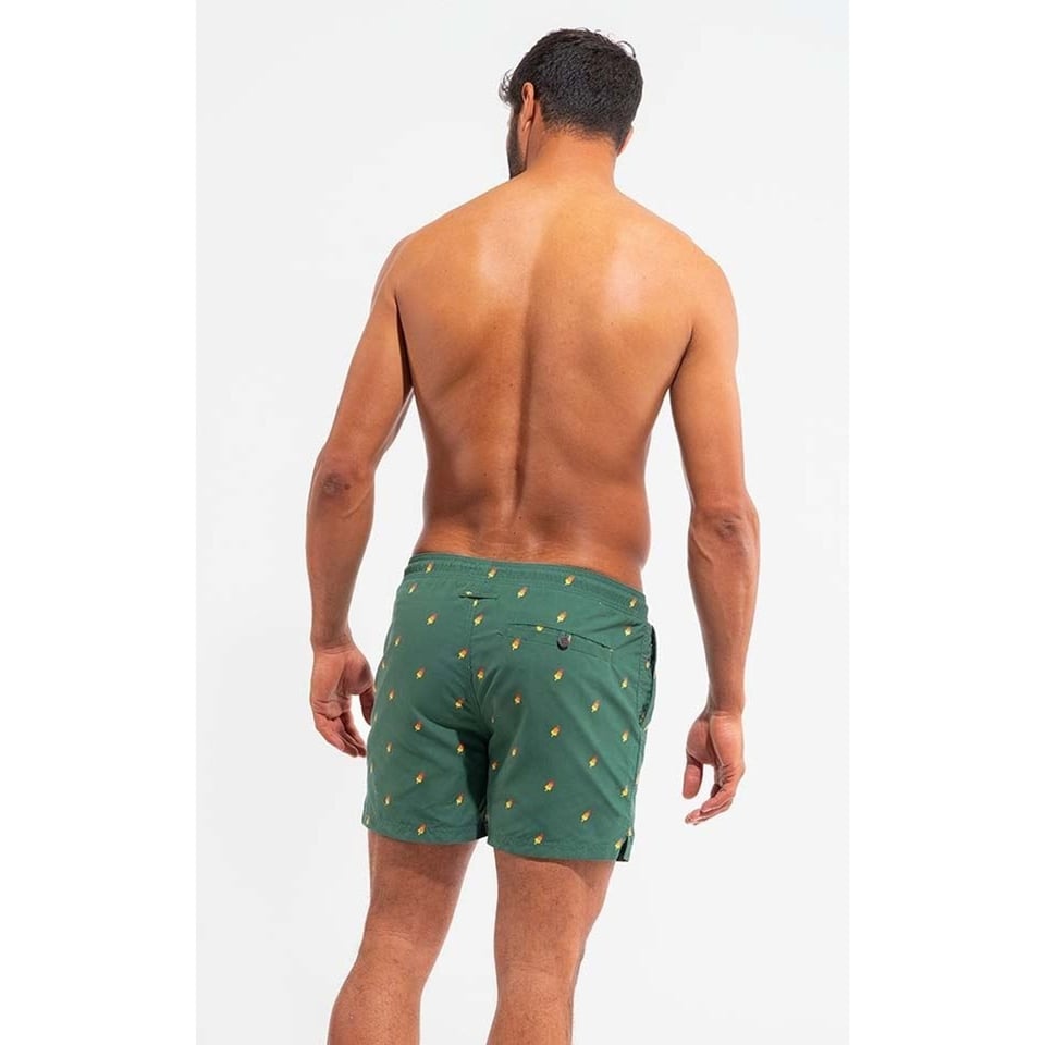 Swim Shorts Bram