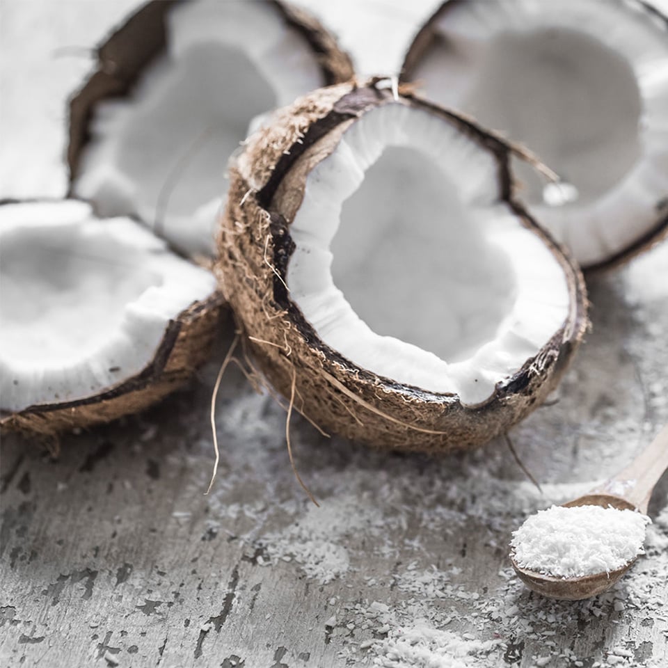 Coconut Desiccated Medium Organic