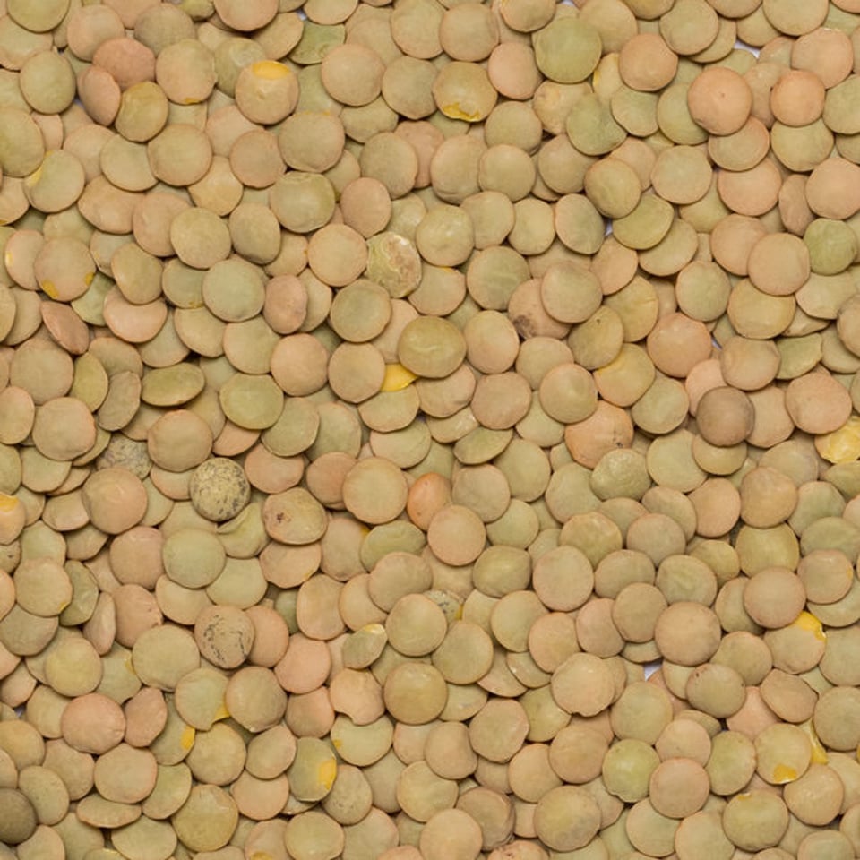 Lentils Green Laird Organic