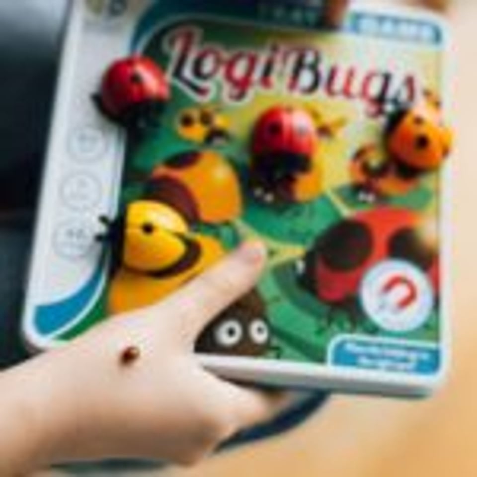 Smart Games Logibugs