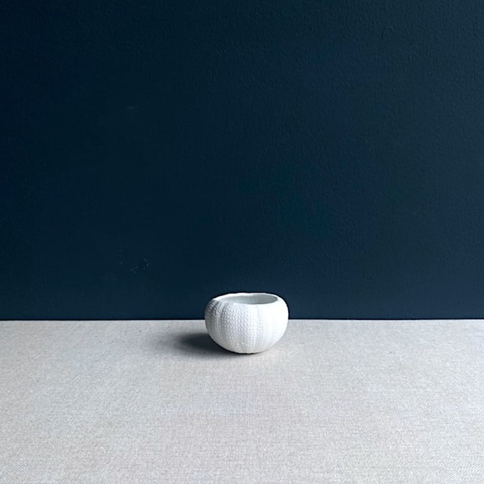Zee-Egel 8 Cm