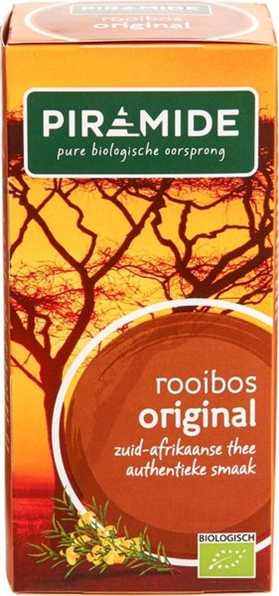 Rooibos